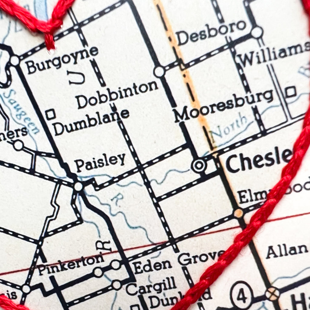Paisley Heart Map